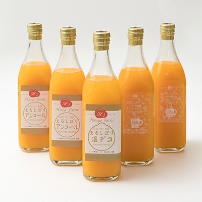九州・大分県杵築産 豊予農場の「季節のおまかせジュースセット」500ml×5本