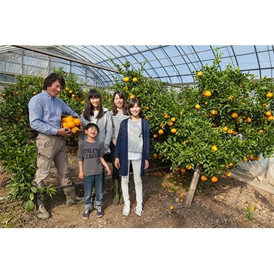 【杵築ブランド認定品】九州・大分県杵築産 豊予農場の「季節のおまかせジャムセット」140g×6本