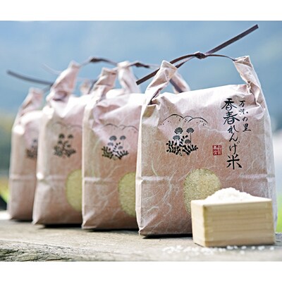 【令和5年産】れんげ米夢つくし18kg(5kg×3袋、3kg×1袋)