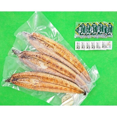 大分水産・温泉うなぎ白焼(大)3尾