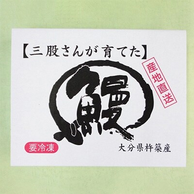 大分水産・温泉うなぎ白焼(大)5尾
