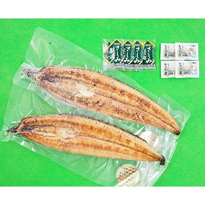 大分水産・温泉うなぎ白焼(特大)2尾