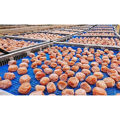 ひらそ農園の完熟南高梅 梅干し(13%) 800g