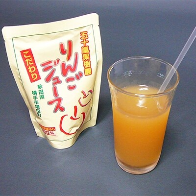 【五十嵐果樹園】無添加りんごジュース(サンふじ) 100パック
