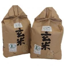 JASオーガニック コシヒカリ 玄米