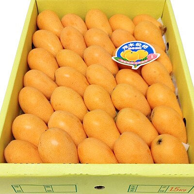 長崎びわ正味1 5kg お礼品詳細 ふるさと納税なら さとふる