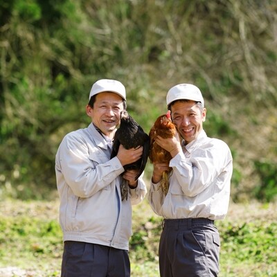平飼い八雲鶏(やくもどり) 彩り天佑卵(てんゆうらん) 10個×3パック