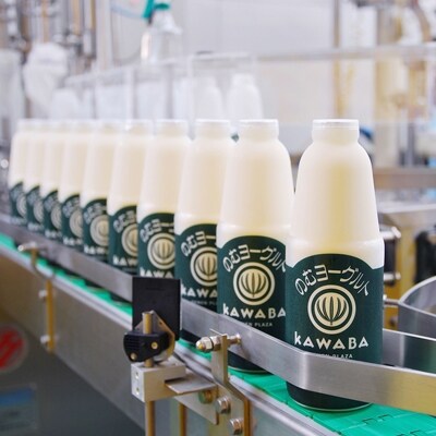 川場のむヨーグルト150ml 16本セット