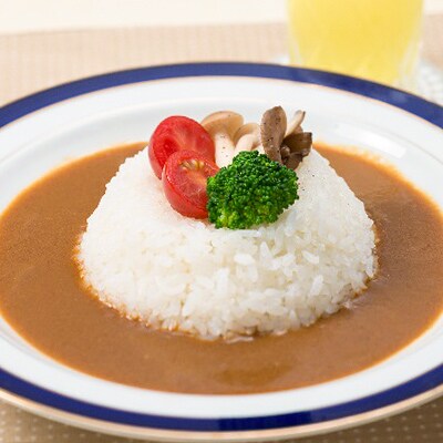【浜名湖特産】すっぽんスープカレー | ふるさと納税のお礼品