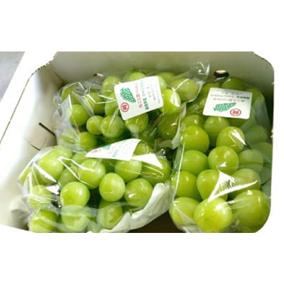 阿波市市場町産のシャインマスカット(約2kg)