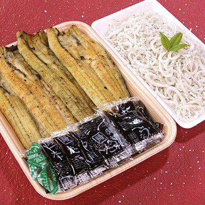 鰻 ファミリーセット