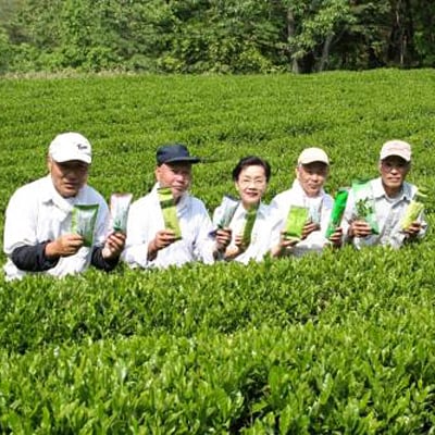 【農薬不使用】朝来みどり お茶セット