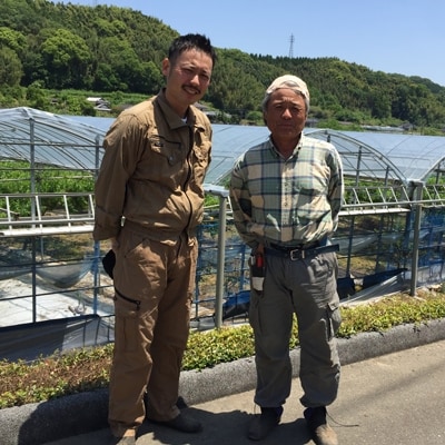 [産直]熊本の桃(ハウス栽培)約1.5kg　8玉～12玉:緑伸園の水蜜桃