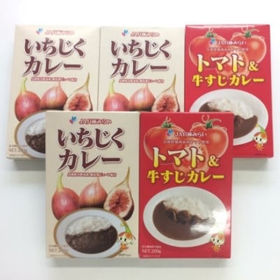いちじくカレー3個・トマト&牛すじカレー2個 計5個セット