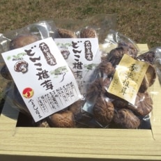 大分県産乾しいたけ(どんこ)100g×2、大分県国東産香葉50g