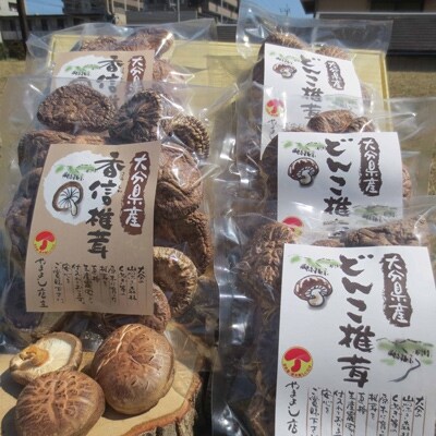 大分県産乾ししいたけ どんこ 100g 3 大分県産乾ししいたけ 香信 100g 2 お礼品詳細 ふるさと納税なら さとふる