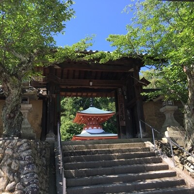 世界遺産と真田のまち九度山満喫観光タクシー5時間プラン (4名様迄)