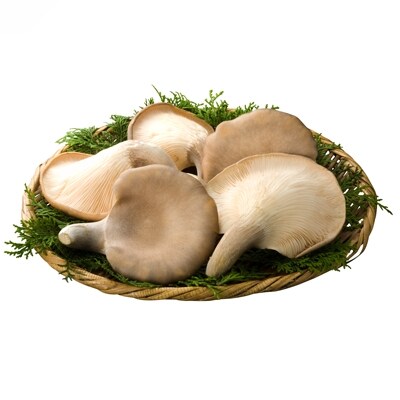 滋賀県竜王町産ヘルシーきのこ「足太あわび茸」の山椒煮と昆布煮の【佃煮3袋セット】箱入り