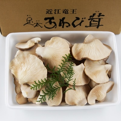 滋賀県竜王町産ヘルシーきのこ「足太あわび茸」約850g