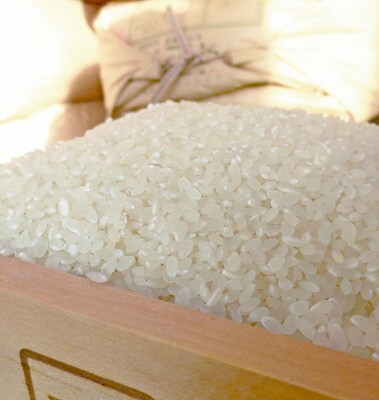 【平成28年産】勝浦産こしひかり13.5Kg