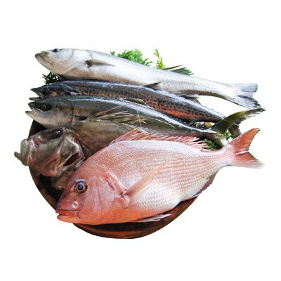 旬のお魚セット7~8kg