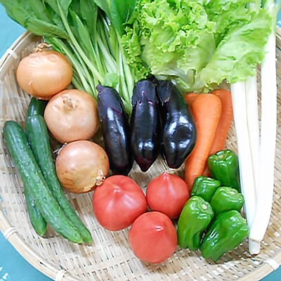 旬野菜の詰め合わせ 「大地の恵みセット」 10種以上