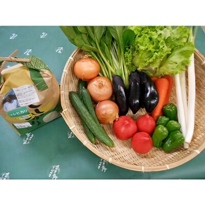 【令和元年産】旬野菜の詰め合わせ 「大地の恵みセット」9~10種+コシヒカリ3kg