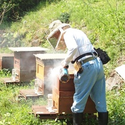 ”みつばちの大地” 金太郎のふる里、南足柄ブランドの百花みつ 2400g