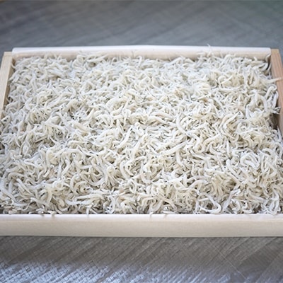 ふるさと特鮮釜揚げしらす700g