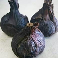 自家製　黒にんにく | ふるさと納税のお礼品