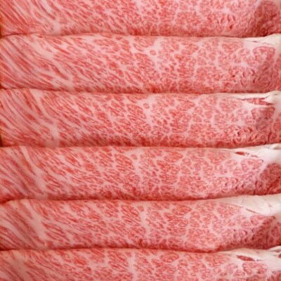 A5等級飛騨牛ロースまたは肩ロース スライス600g(300g×2p)