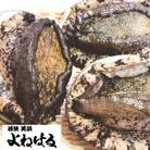 若狭湾の天然活黒アワビ 600g【大サイズ】