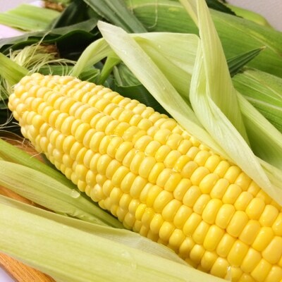 農家からお届け 桑高農園 とうもろこし5kg箱 お礼品詳細 ふるさと納税なら さとふる 農家からお届け 桑高農園 とうもろこし5kg箱 お礼品詳細 ふるさと納税なら さとふる