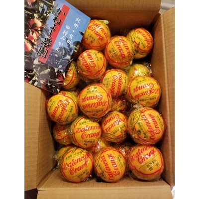 かねよし農園の青バレンシアオレンジ5kg[M～2Lサイズ混]