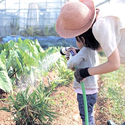 【渥美半島より新鮮野菜をお届けします】　旬彩野菜バスケット