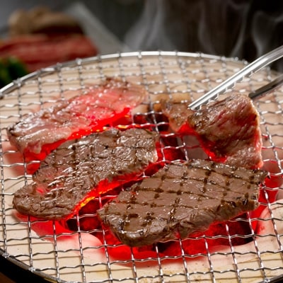 【山梨県産 富士山麓牛】霜降り・赤身焼き肉セット(計約600g) 焼肉・バーベキュー用