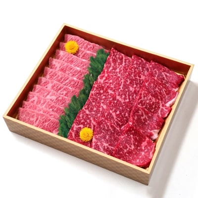 【山梨県産 富士山麓牛】霜降り・赤身焼き肉セット(計約600g) 焼肉・バーベキュー用