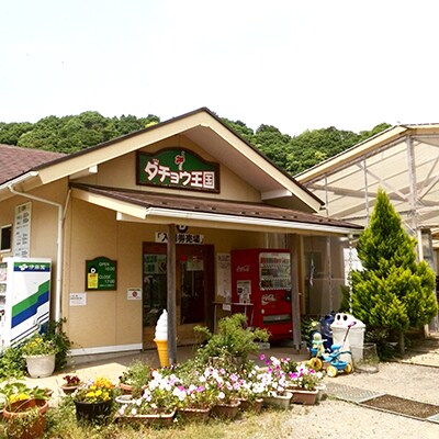 ダチョウ王国袖ケ浦ファーム入園チケット(大人2名子供2名)