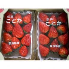 奈良 かたおかの苺「古都華(ことか)」約270g×4パック