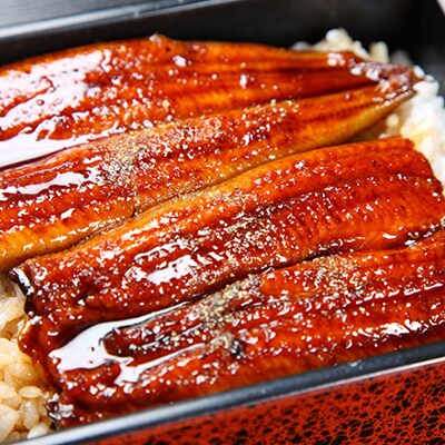 魚市場厳選 九州産うなぎ蒲焼(特大サイズ 160~200g×3尾)