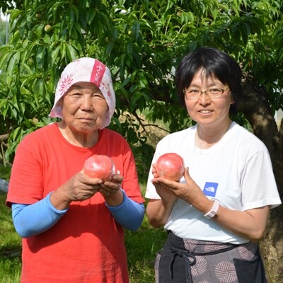 阿部農縁のとっておきの桃(約9~12個)