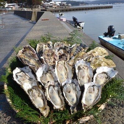 能登穴水の牡蠣(殻付)加熱用3kg