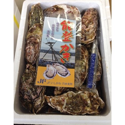 能登穴水の牡蠣(殻付)加熱用3kg