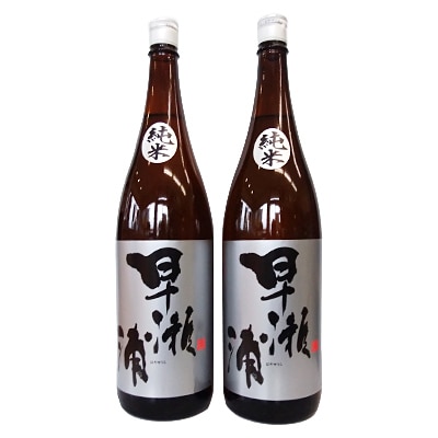【早瀬浦】純米酒2本