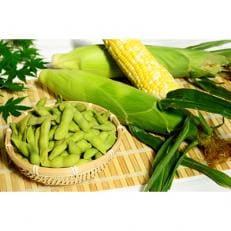 高知県香美市産 とうもろこしと枝豆セット