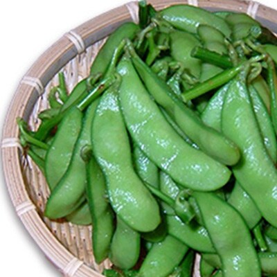もぎ枝豆 『茶豆』 1kg