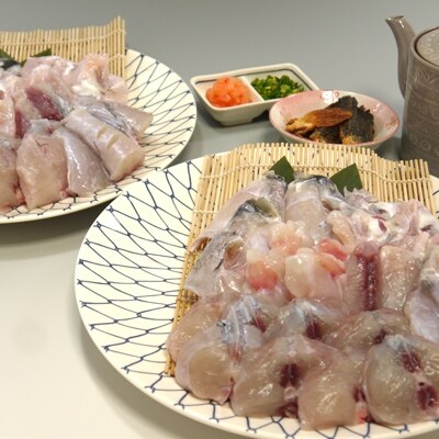 【2019年5月発送】 【産地直送】若狭とらふぐ鍋セット1500g(5～7人前)