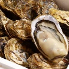 厚岸産殻牡蠣　『マルえもん2L-size 14個入り』 | ふるさと納税のお礼品