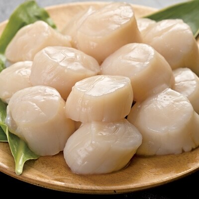 【2024年2月下旬発送】急速冷凍ほたて貝柱　約500g×2袋＜合計約1kg＞