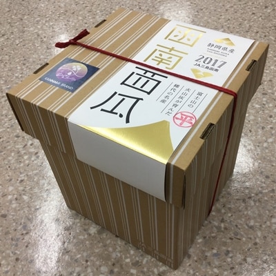 味自慢の逸品　函南西瓜【夏】1玉